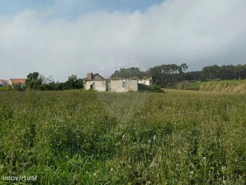 Cette propriété mixte offre un cadre idéal pour ceux qui recherchent un équilibre entre le confort de la vie urbaine et la tranquillité de la vie rurale, combinant des espaces constructibles avec des opportunités agricoles et naturelles uniques. Cett...