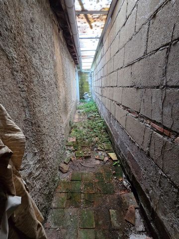 photo no. 4