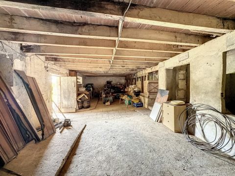 photo no. 4