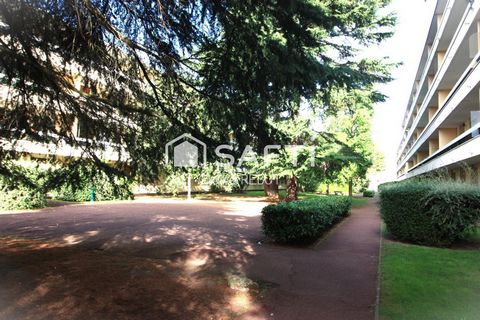 photo no. 6