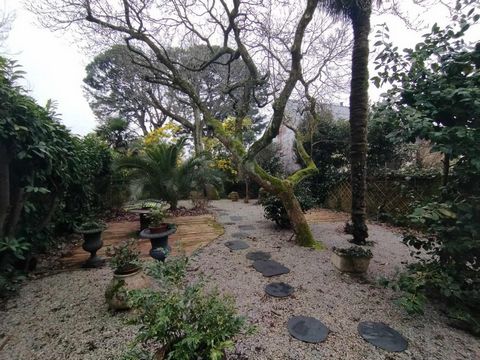 photo no. 17