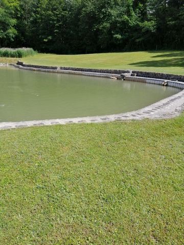 photo no. 3