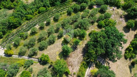 Location: Istarska županija, Cerovlje, Cerovlje. Cerovlje, surroundings, building land with a beautiful view For sale is a beautiful building land of 2250 m², located in a peaceful and natural environment. There are ruins of 250 m² on the land, which...