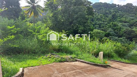 terrain viabilisé à vendre sur le François