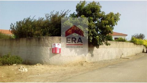 Rustic land of 1000 m 2, flat, walled and with hole. Inserted in urban space to 10 km from the village of Lourinhã and 13 km from the beach. Energy Rating: Exempt #ref:130180245