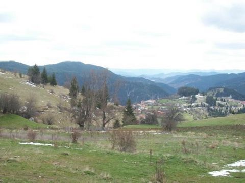 TEL: ... ;0301 69999/WIR BIETEN IMMOBILIEN-LANDWIRTSCHAFTLICHE FLÄCHEN 4000M² ZUM VERKAUF AN. 2 KM VOM MALERISCHEN RHODOPENDORF MOMCHILOVTSI ENTFERNT. DAS HOTEL LIEGT 15 KM VOM SKIZENTRUM VON CHEPELARE, 15 KM VON SMOLYAN, 15 KM VON PAMPOROVO, 20 KM V...