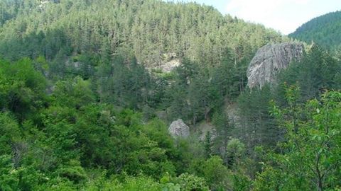 TEL.: ... ; ... /Wir bieten ein malerisches Grundstück von 700 m² im malerischen Rhodopendorf Sokolovtsi zum Verkauf an. Vimota hat ein zerstörtes Haus, das auf Dokumenten existiert und restauriert werden kann. Zum Wasser. Strom auf ca. 150m. Der Zug...