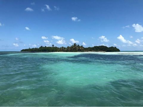 Vid Karibiska havet, bara ett paradis. Detta är en fantastisk möjlighet för organisationer eller älskare av naturskydd i världen. En del av ön har 88,95 tunnland, längsgående längd bredare 2 823 meter och längsgående bredd bredare 355 meter. Plats: A...