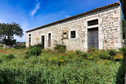 Low walls of dry stone, plowed fields and here is the green of olive or prickly trees. This is the panoramic hole that you will see in the path between the beautiful countryside of the south of Sicily that takes us into the first outskirts of Scicli ...