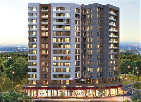 Details Livza Zeytinburnu, which is both the first and the biggest project of Zeytinburnu, one of the most important centers of Istanbul, and Livza Zeytinburnu, which has a construction area of 22,500 m2 on a land of 2,150 m2, meets all the needs of ...