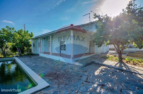 Two villas with swimming pool 1 km from the center of Turquel, in a very quiet and reserved location. The main villa has 3 bedrooms, 2 bathrooms, kitchen, living room and office. The second consists of a large basement, divided from the house by wind...