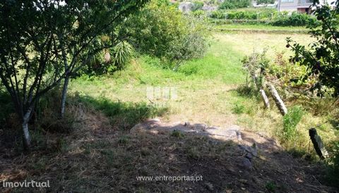 Land for sale with 6356 m2 for construction for sale in Vila Praia de Âncora, Caminha. Well located. Near the beach. Ref. C02046 ENTREPORTAS Founded in 2004, the ENTREPORTAS group with more than 15 years, is a leader in real estate mediation in the m...