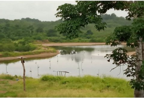 Of Opportunity SHRIMP FARM 7 Enabled Swimming PoolsLocation: Province of Guayas Total Area: 104 hectaresWith 47 hectares of swimming pool Total 7 swimming pools2 light generators (small)2 containers Eternit tub for drinking water and Reservoir tank a...