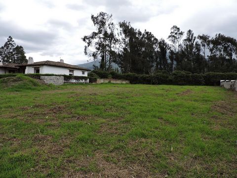 A few minutes from the center of Cotacachi, within the San Miguel complex, you will find this lot, one of the best complexes in Cotacachi, with well designed houses surrounded by nature, peace and tranquility. The lot has 1251,23m2, perfect to build ...