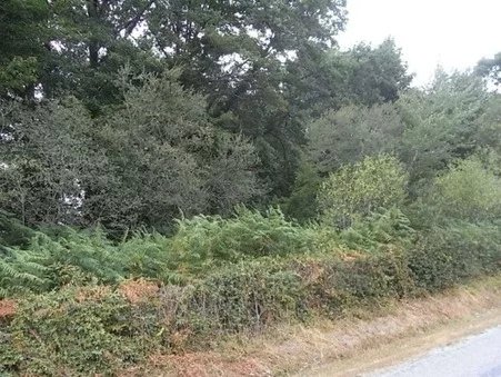 This is a piece of land that could be built on although it is woodland at present. Measuring around 1830m² it is in a quiet hamlet not far from the town of St Sulpice Les Feuilles where there are a good selection of shops and services including a sup...