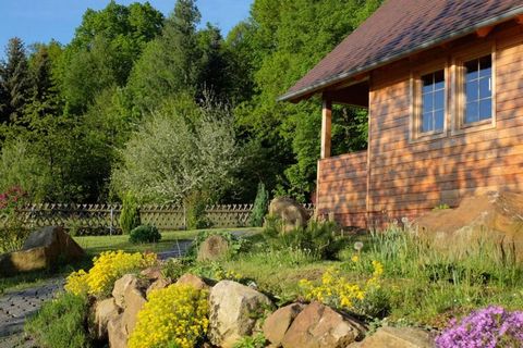 Welcome to the Oybiner Hütte holiday home! We cordially invite you to spend your vacation in a unique environment. Visit our wooden house built in 2011, which is located in the heart of the Zittau Mountains. Our spacious holiday home offers the highe...