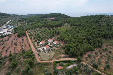 Property Code. 11500 - Agricultural FOR SALE in Thasos Astrida for €140.000 . Discover the features of this 5586 sq. m. Agricultural: Distance from sea 320 meters, Facade length: 71 meters, depth: 76 meters Agricultural land 5586 m2 in the Astris are...