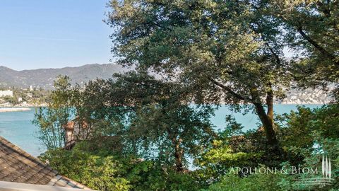 With quaint outdoors and a scenic landscape, close to amenities and beaches, 3-4 bedroom luxury sea-view villa for rent in Santa Margherita Ligure. This charming villa for annual rent enjoys a privileged position just a few steps from the beautiful b...
