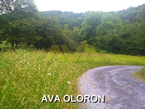 5 minutes from OLORON, quiet, on the edge of the forest, on a lot of 3 plots, for sale a building plot of 1313 m2 with servicing to be expected.