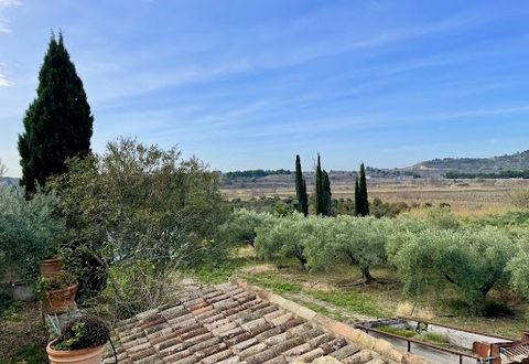 Within a property of more than 10 hectares, nestled in the heart of a vast olive grove and pine forest, Languedoc farmhouse of approximately 270 m2 of living space and its large annexes. A beautiful reception area of 75 m2 with large fireplace openin...