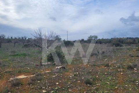 Rustic and flat land with 7920 m2, located in the area of Umbria - Paderne.  Composed of several arable trees, carob, almond, fig trees and bush. The land is surrounded by stones.  Good for cultivation. It is bordered by a tarmac road to the west and...