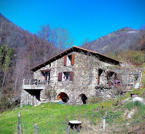 Old mill on more than 3 hectares of land. It consists on the ground floor of a kitchen-dining room, a living room with wood stove and access to the terrace, a bedroom and a bathroom with toilet. On the 1st floor there is a second bedroom and a separa...