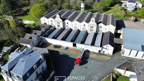 C'est en plein centre de Saint Hilaire-St-Florent, charmante commune associée à l'éclat de Saumur, que cette propriété chargée d'histoire offre un potentiel inégalé d'environ 9 000 m2 utiles sur un terrain de plus de 10 000 m2. Cet édifice est une ma...