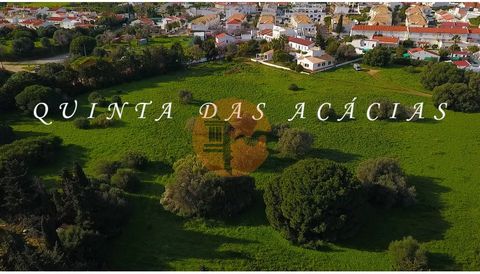 Traditionelles Haus zum Verkauf auf einem Bauernhof in der Nähe des Stadtzentrums. Ein Bauernhof, Erbe der Algarve-Tradition, mit Spuren der Moderne, eine wahre Oase im städtischen Umkreis von Vila Nova de Cacela und in der Nähe des berühmten Strande...