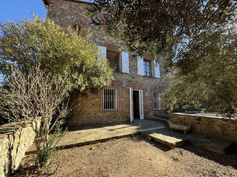 In the heart of the charming village of Llauro, less than 20 minutes from Perpignan, come and discover this large Catalan house with garden and imagine a peaceful and joyful life for your family. You will be seduced by its stone walls and its volumes...