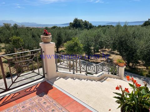 EXCLUSIVE AGENCY SALE! Magnificent property for sale, located in an exceptional location in the suburbs of Split. The property consists of a villa of approx. 1,000 m2 and an auxiliary building of 50 m2, surrounded by an olive grove of 250 trees plant...