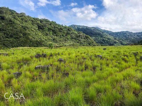 Located in Cantares, Paso Ancho, Tierras Altas, Chiriqui, this 3-hectare, 538.79-square-meter lot with flat land and a gentle stream is a real find. Just 4 kilometers from downtown and 900 meters from the main road, this property offers a peaceful sp...