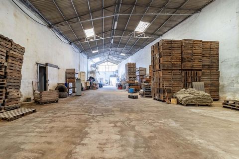 The warehouse available for sale is an excellent opportunity for anyone looking for a spacious and well located space. With a covered area of 755m2 and a patio of 195m2, this warehouse offers a large internal area, which can be adapted for different ...
