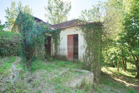 Charming farm house with 2 stone houses for restoration, located in Sande, Marco de Canaveses, 50km from Porto, 1km from the school center and supermarket, with lots of spring water, excellent access, great sun exposure, many trees, in a very flat la...