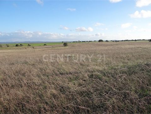 Rustic land with viability to build agricultural support, located 4 km from São Manços and about 20 minutes from Évora and just over 1 hour from Lisbon. The land has a hole with water itself.