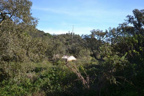 The land consists of two plots that are joined: Rustic Land with a total of 41525 m2 and Urban (existence of a ruin of 55m2 in need of total remodeling) village of Barranquinha, parish of Porto Covo, Municipality of Sines. The land is composed of var...