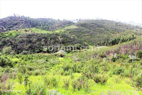Rustic land with three ruins in the municipality of Monchique. Located in Marmelete, in the municipality of Monchique, this land with about 13 HA has three ruins with a total implantation area of 139.50m2. It is an excellent opportunity for nature lo...