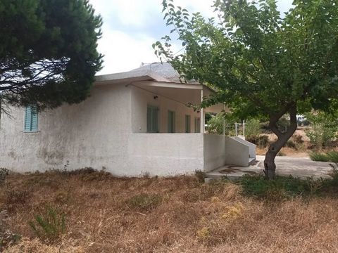 A vendre dans le quartier Kalamitsa de Skyros, une maison individuelle de 75 mètres carrés accompagnée d'un grand jardin de 850 mètres carrés. La maison a été divisée en deux appartements composés chacun d'une chambre, d'une salle de bain et d'un séj...