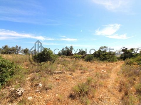 Land with 8320 m2, with ruin, with beautiful unobstructed views over the countryside, in Tunis. Construction project of a single storey villa up to 230 m2 with 4 en-suite bedrooms, basement garage and swimming pool. If the objective is rural tourism,...