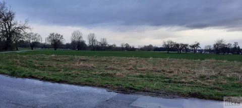 KRAKOW - NOWA HUTA - 10 ARES - BRANICE/CHAŁUPKI. We offer a plot of land with an area of 10 ares located in Krakow - Nowa Huta. LOCATION Quiet and peaceful neighborhood. 5 minutes to Igołomska Street. 10 minutes to the junction/exit to the Krakow rin...