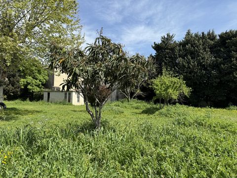 Caderousse, 5 minutes from the A7/A9 Orange interchange, 30 minutes from Avignon TGV station. Located a stone's throw from the village, come and discover this beautiful serviced building plot of 421 m2 Network: Real Estate Group Your agent: Sylvie 06...