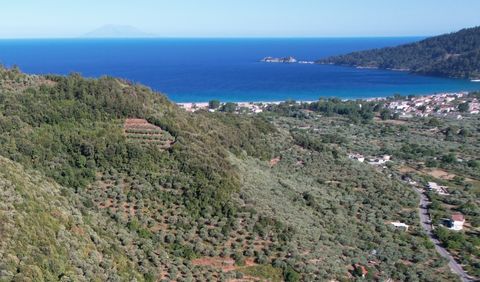 Property Code. 11527 - Plot FOR SALE in Thasos Chrisi Ammoudia for € 160.000 . Discover the features of this 553 sq. m. Plot: Distance from sea 800 meters, Building Coefficient: 0.40 Coverage Coefficient: 0.40 facade length: 22 meters, depth: 23 mete...