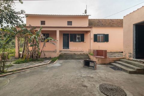 Come and see your future home, set in a countryside environment, where peace and quiet thrive! Let me introduce you to this modest 5-room detached villa set in a plot of land of 1884m2, located in Cajados 10 minutes from Setúbal. When you enter the g...