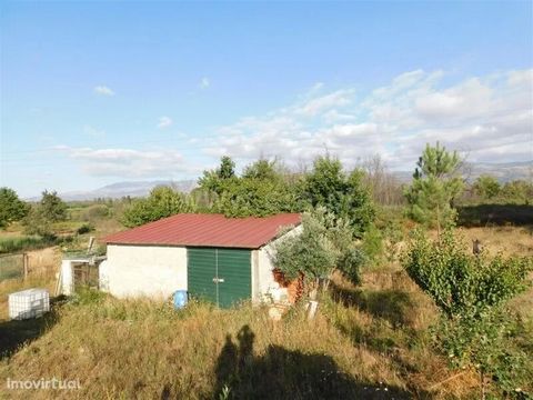Land 5 minutes from the city of Seia. Agricultural shed. Sealed. Charca. Good sun exposure and access.