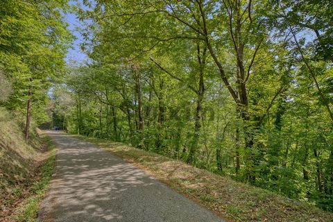 Zuidelijke Cevennen, op slechts 10 minuten van Villefort Niet-bouwgrond van ongeveer 1350m2, ideaal voor bossen (kersenbomen, kastanjebomen...) Deze woning wordt ons door de verkopers toevertrouwd, dus het is essentieel om contact met ons op te nemen...