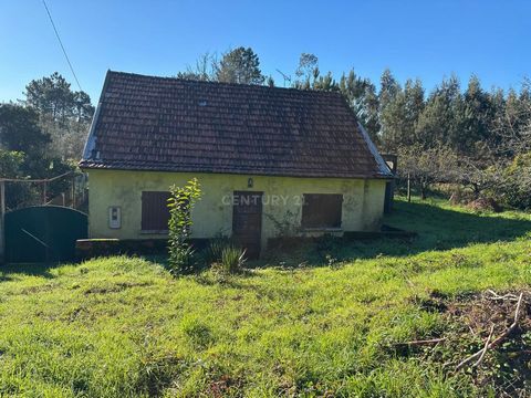 Einstöckiges Haus zum Umbauen; Ideal für diejenigen, die das Haus ihrer Träume individuell gestalten oder in ein Projekt mit großem Potenzial investieren möchten. Das Hotel liegt im schönen Dorf Albergaria dos Doze. Bestehend aus: 1 Zimmer am Eingang...