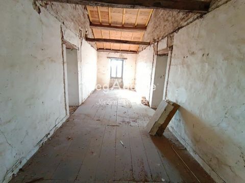 photo no. 12