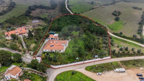 Haus / T5 / Grundstück 8.400m² / Garten / Parkplatz / São João dos Montes / Vila Franca de Xira Villa mit 5 Schlafzimmern auf einem Grundstück von 8.400 m² in São João dos Montes, in Vila Franca de Xira. Es verfügt über einen großen Garten im Freien ...