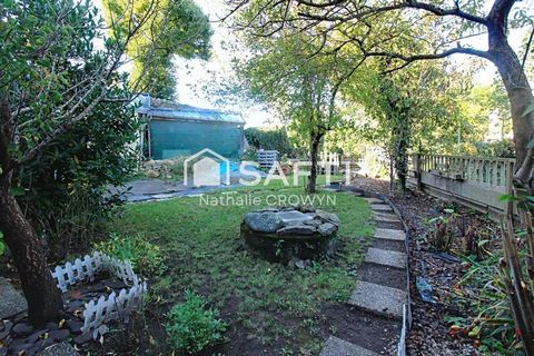 photo no. 5