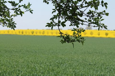 Obszerne pola i nietknięta przyroda charakteryzują obraz, w którym znajduje się to dwupokojowe mieszkanie, i daje możliwość opuszczenia zgiełku codziennego życia Znajduje się na parterze, z własnym wejściem, masz możliwość cieszyć się sielanką. Z dob...