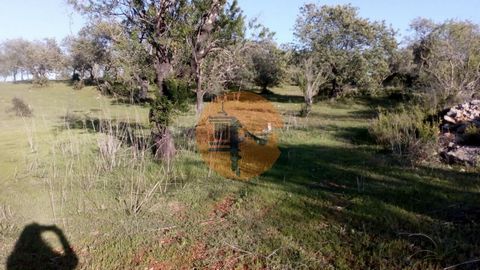 Terrain rustique, situé à Paderne à environ 15 minutes d’Albufeira. Avec de belles vues et un très bon accès, l’une des extrémités se termine sur une route goudronnée et une partie de celle-ci est complètement plate. Possibilité de percer un trou. Av...